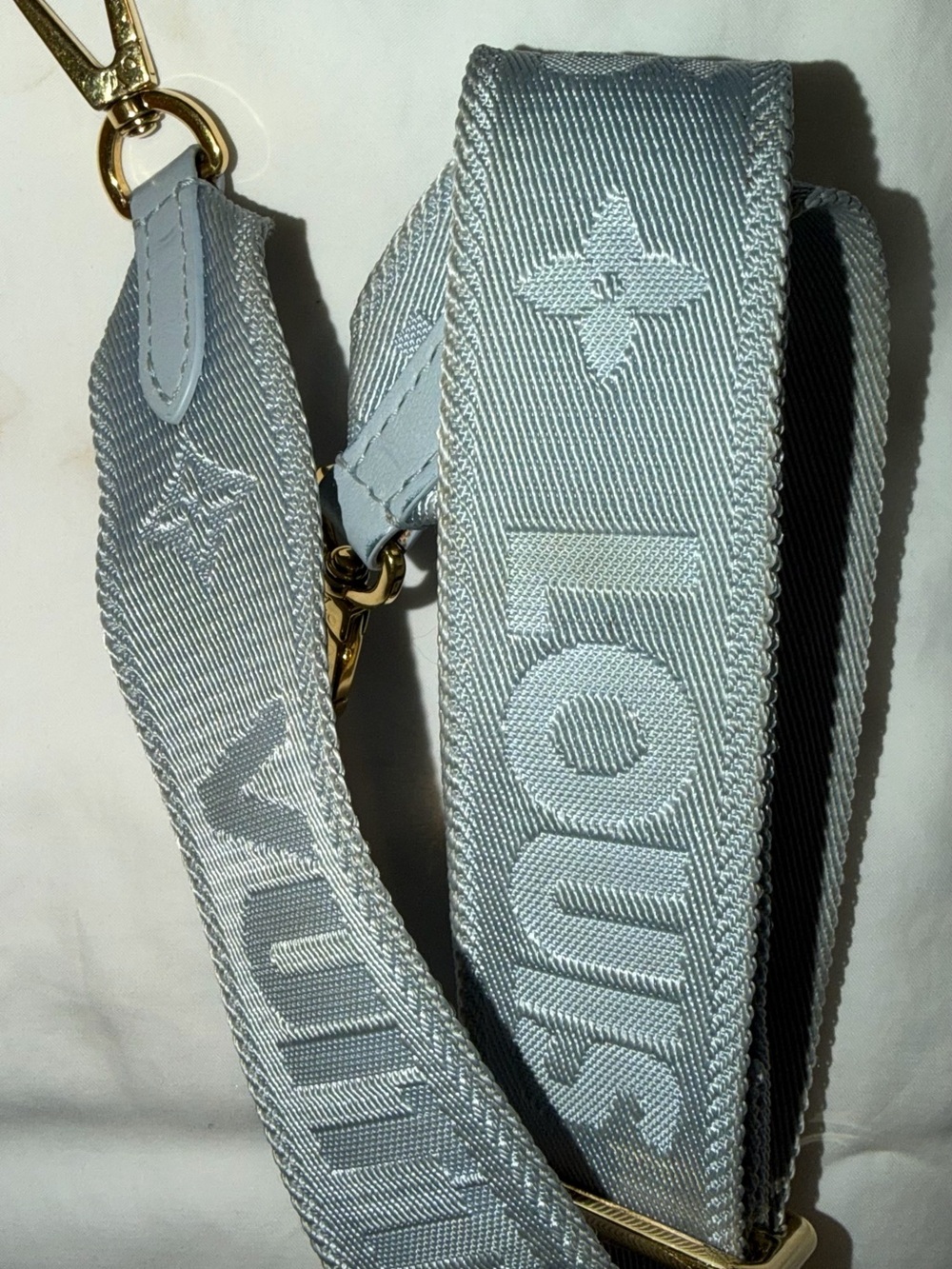 Louis Vuitton Bubblegram ice blue replacement Strap Neverfull Coussin Gypsy